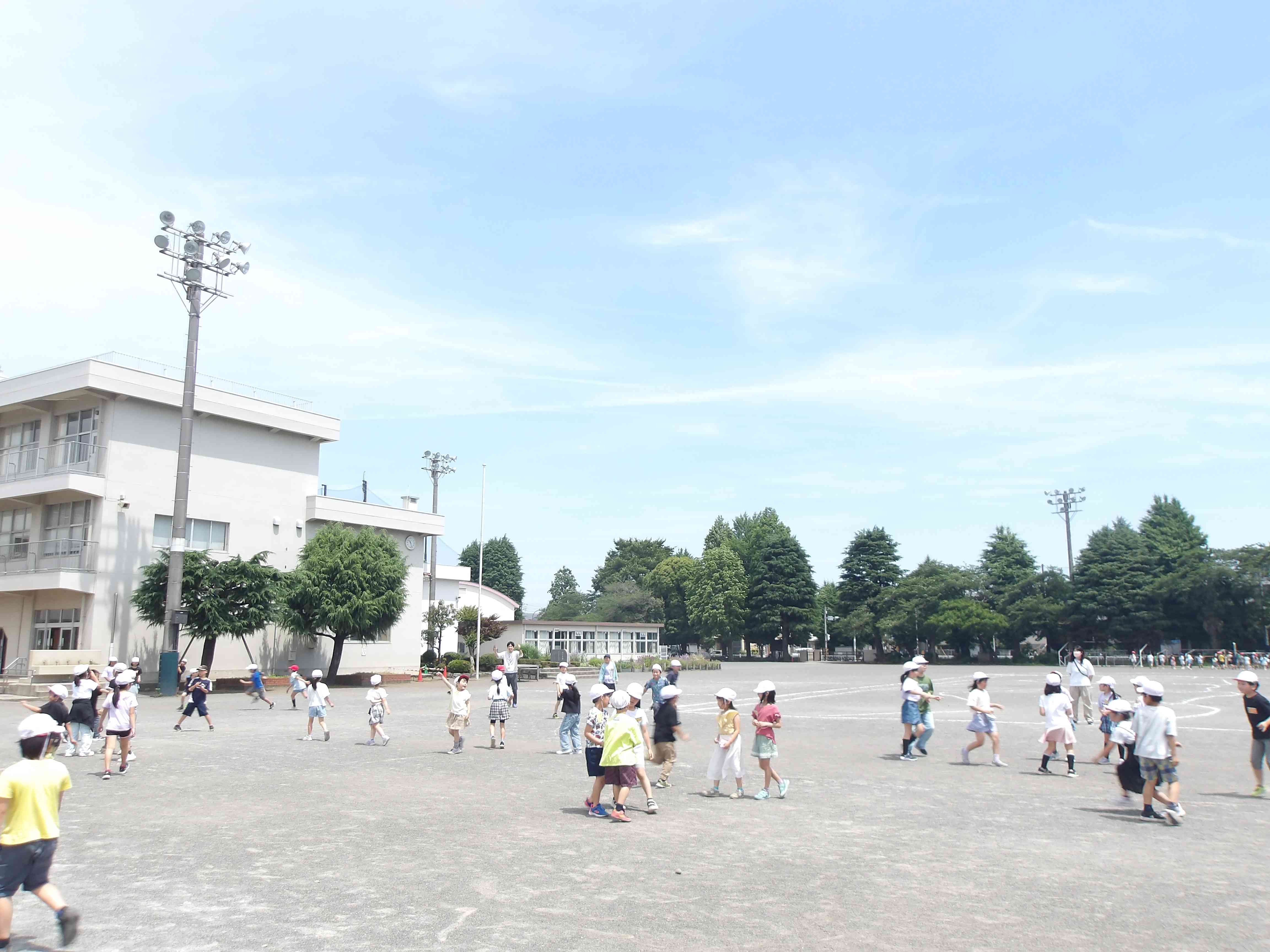 ブログ