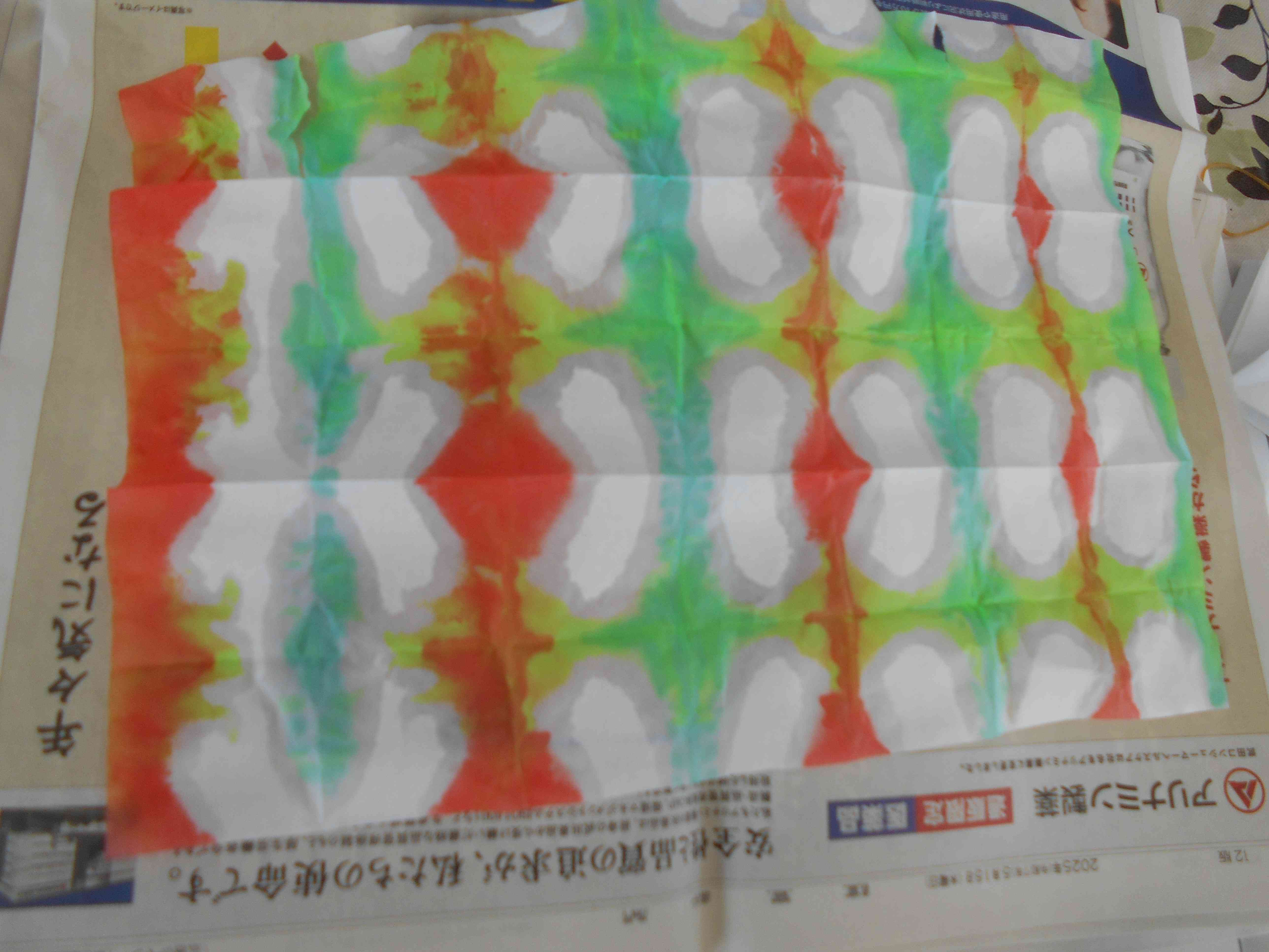 DSCN9911